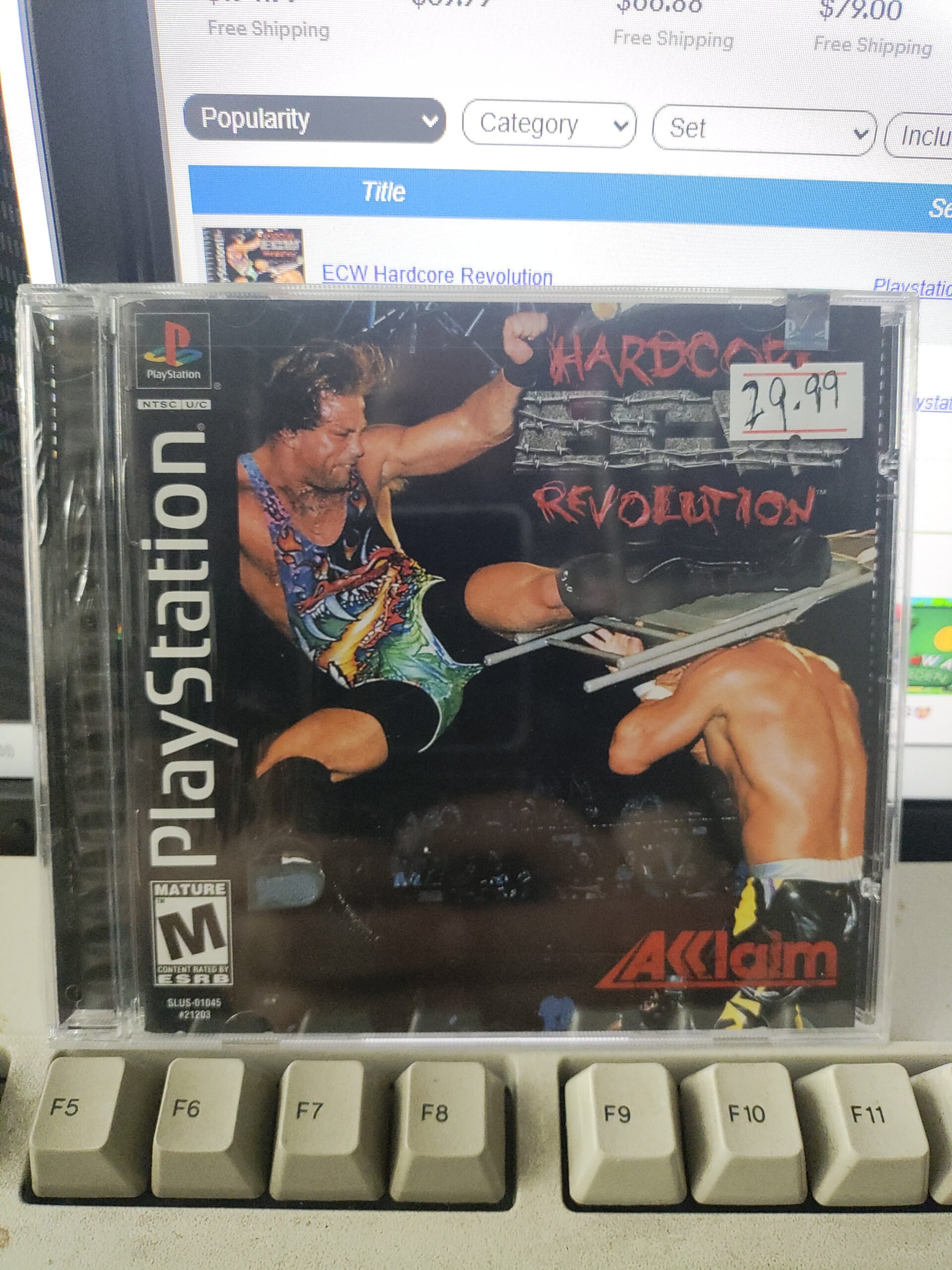 Hardcore ECW Revolution