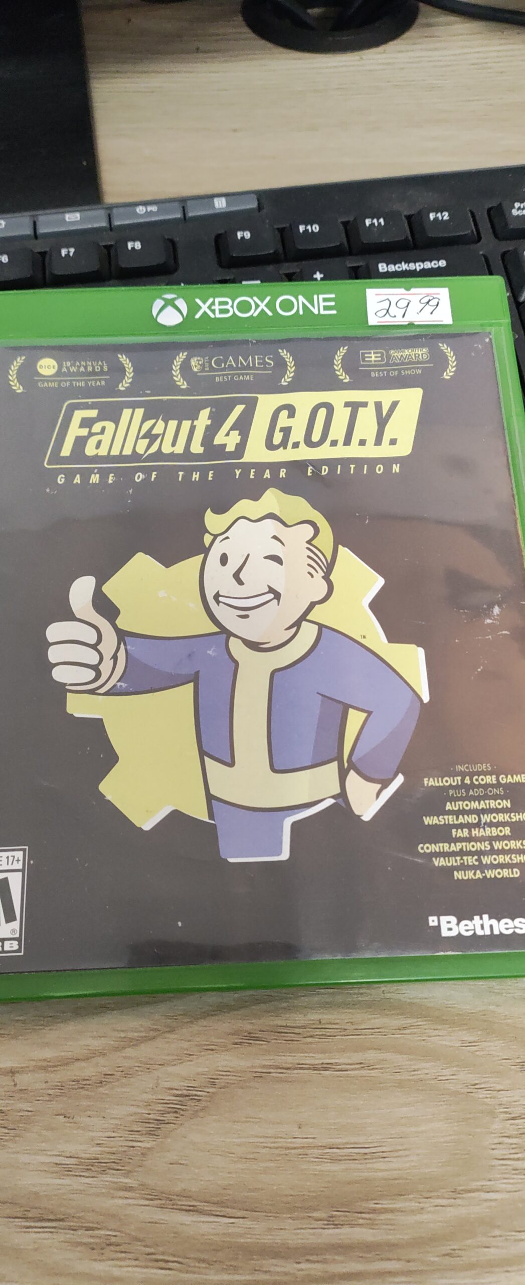 Fallout 4 G.O.T.Y